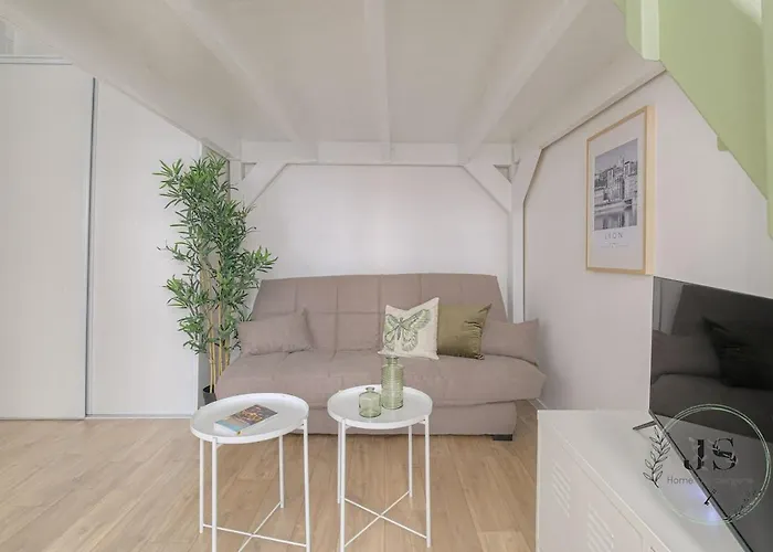 Le Dauphine Climatise شقة ليون